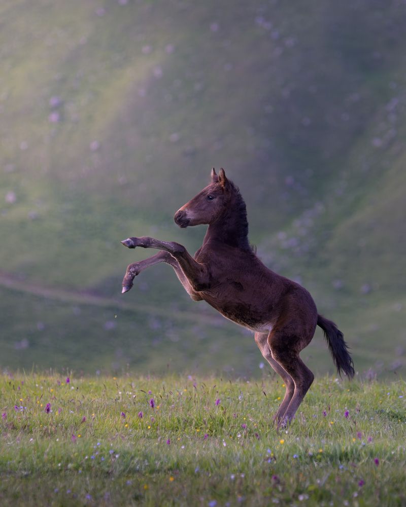Photograph by Фабричный Роман