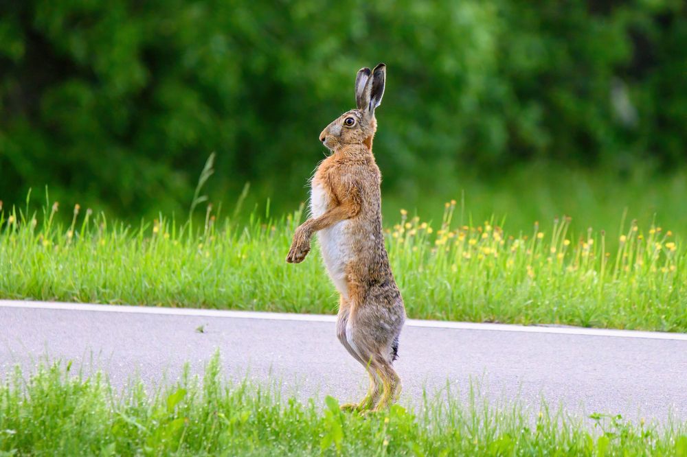 Photograph by Валерия Трейтяк