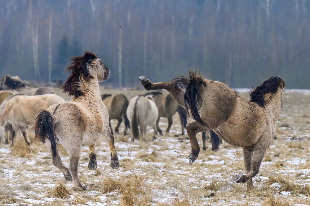 Photograph by Валерия Трейтяк