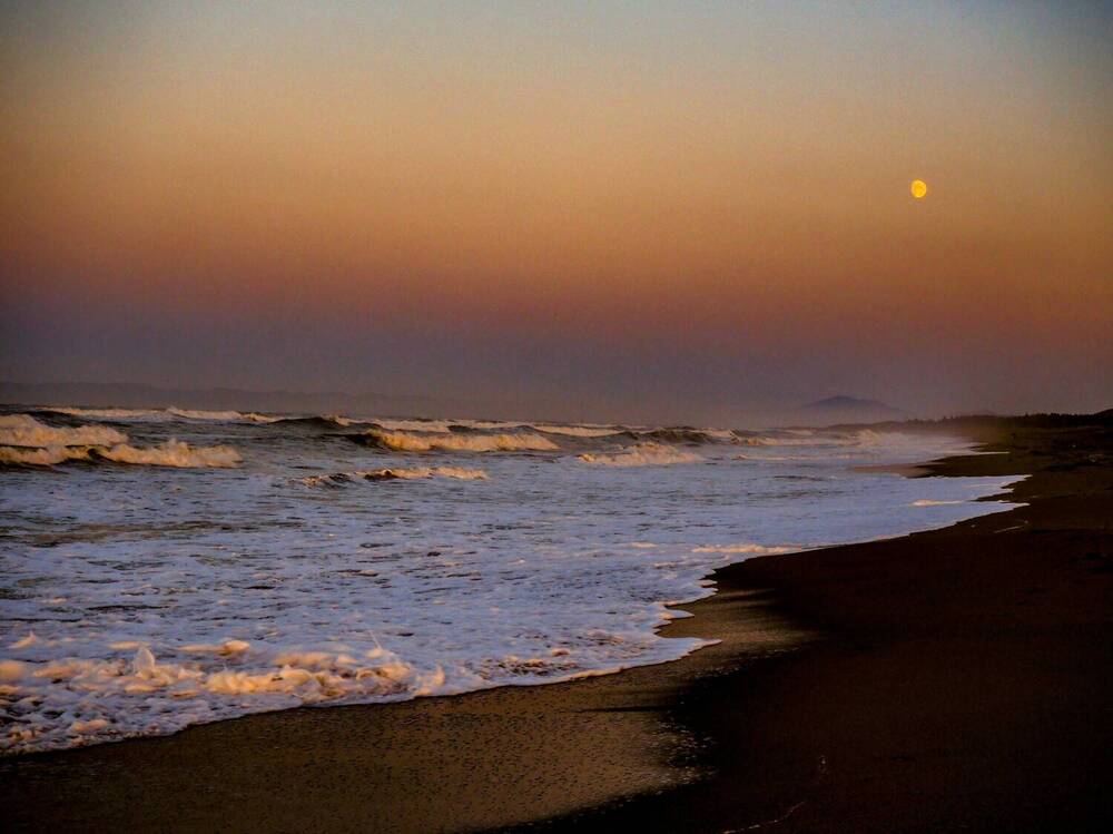 Фотография автора Olena Vorotyntseva