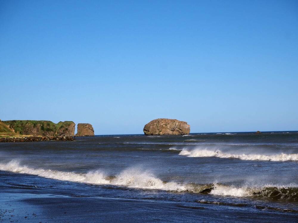 Фотография автора Olena Vorotyntseva