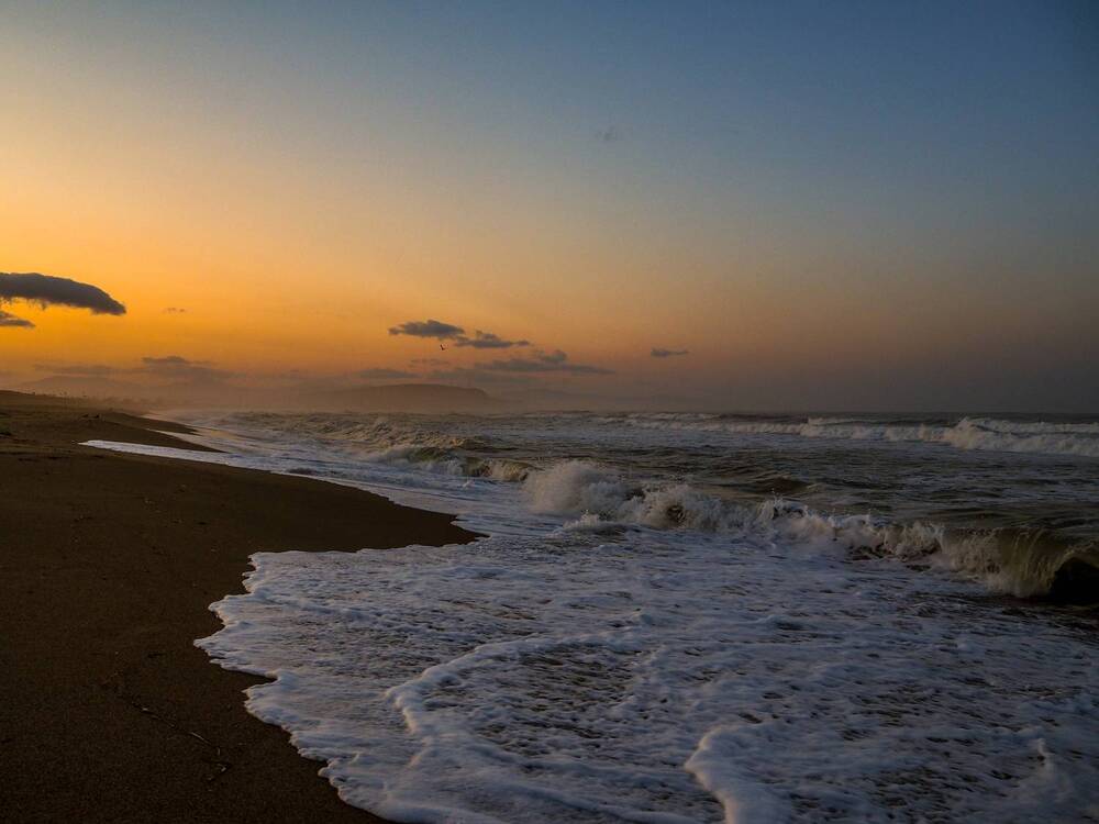 Фотография автора Olena Vorotyntseva