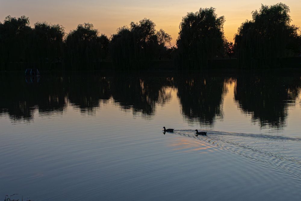 Photograph by Igor Maksimenko