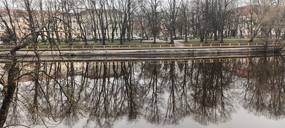 Отражение в воде