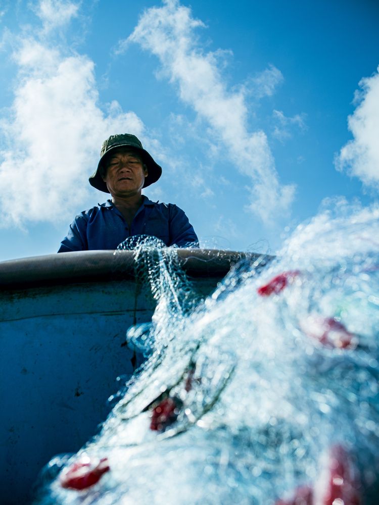 Photograph by QUAN TRAN