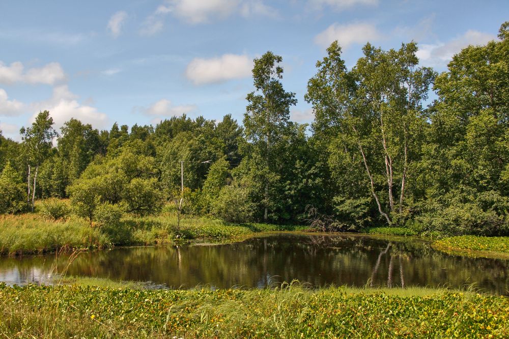 Фотография автора Наталия Мащенко