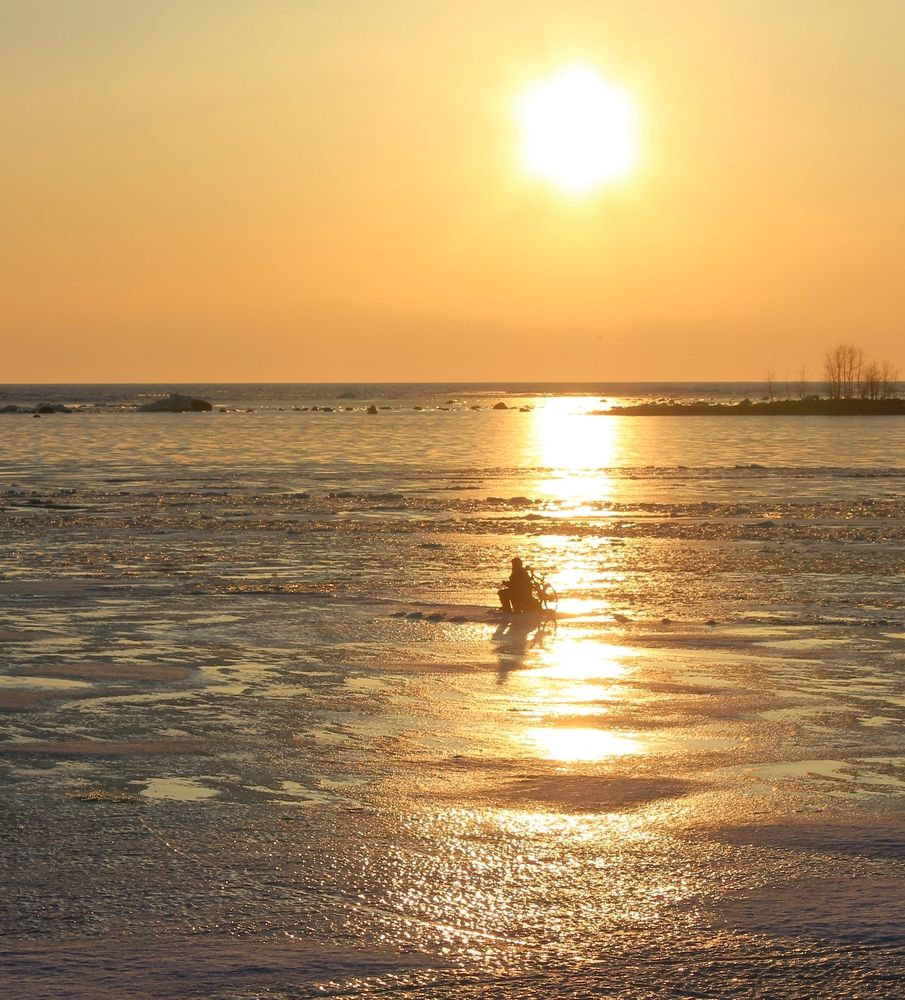 Photograph by Olga Bagaeva