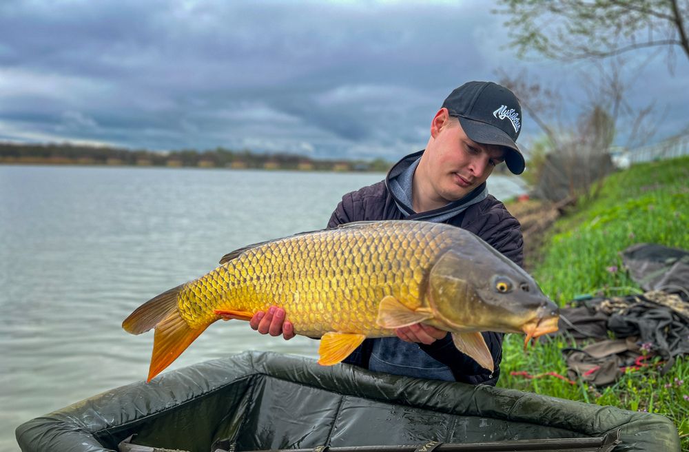 Фотография автора Вячеслав Александров