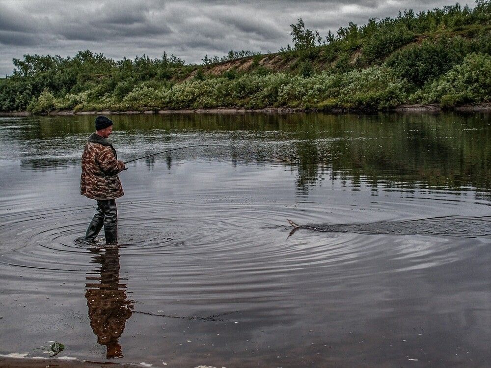 Photograph by Алексей Логинов