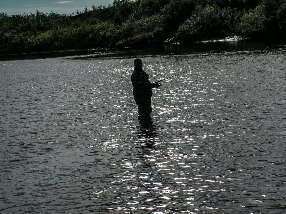 Photograph by Алексей Логинов