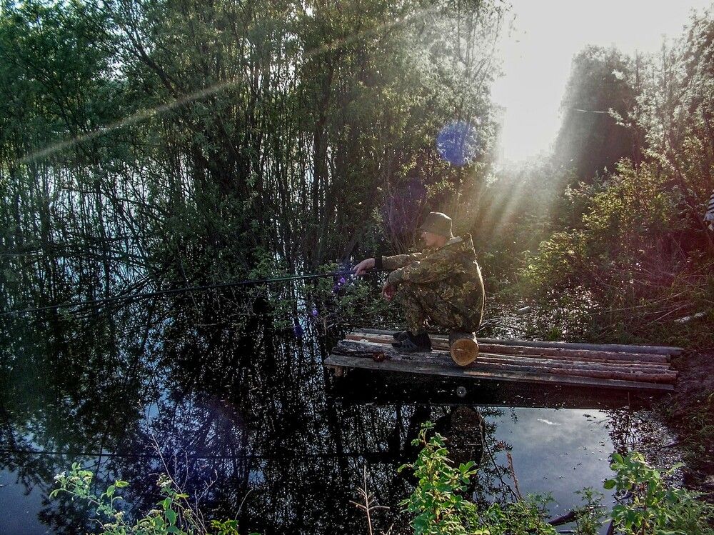 Photograph by Алексей Логинов