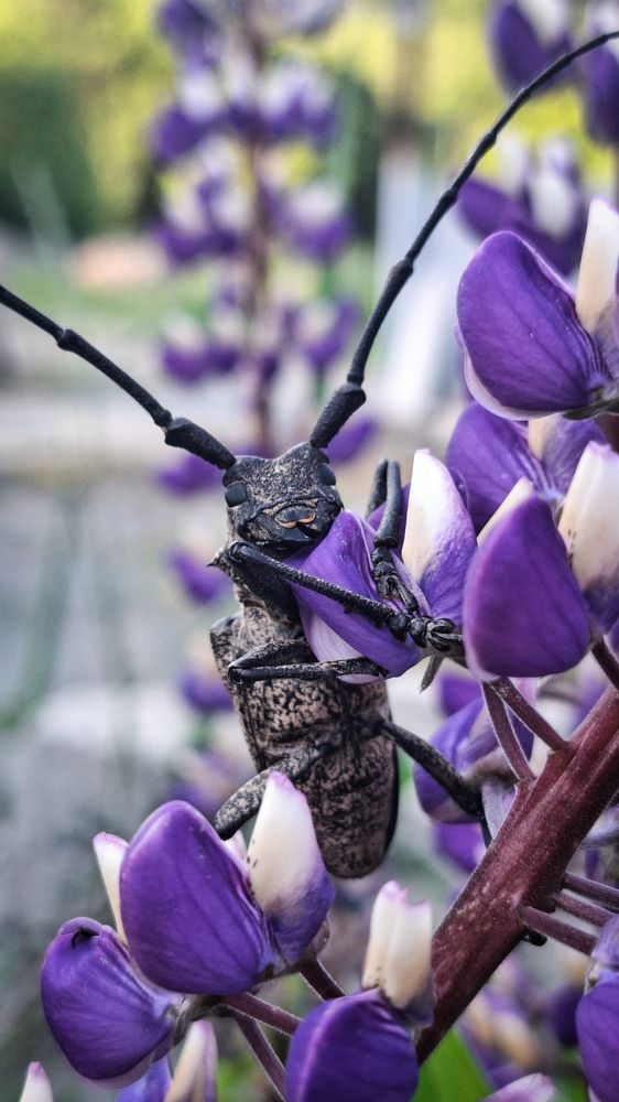 Photograph by Tatiana Kirillova