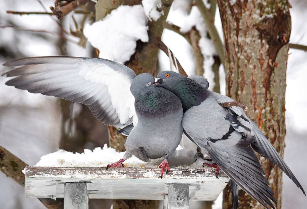 Фотография автора Оксана Льдинина