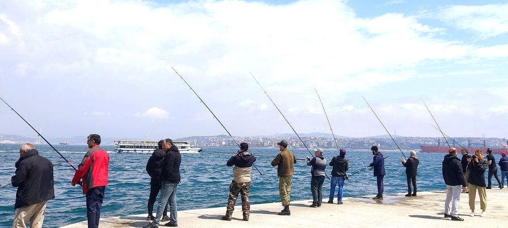 Photograph by Елена Юдина