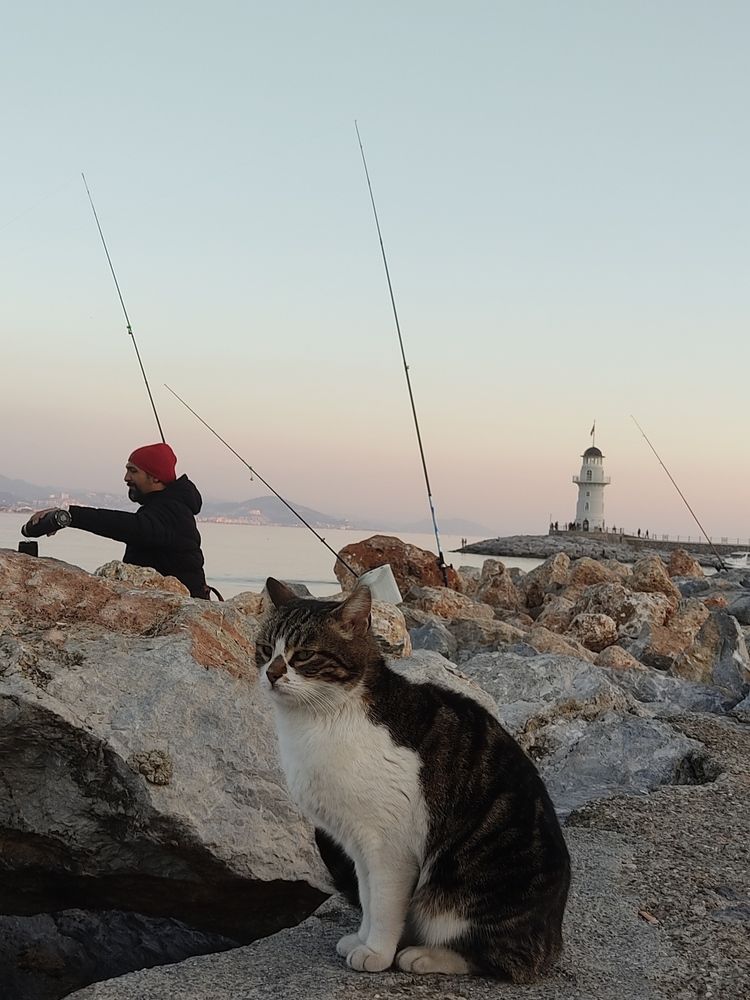 Photograph by Елена Юдина