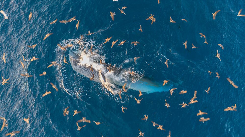 Photograph by thái hòa cao
