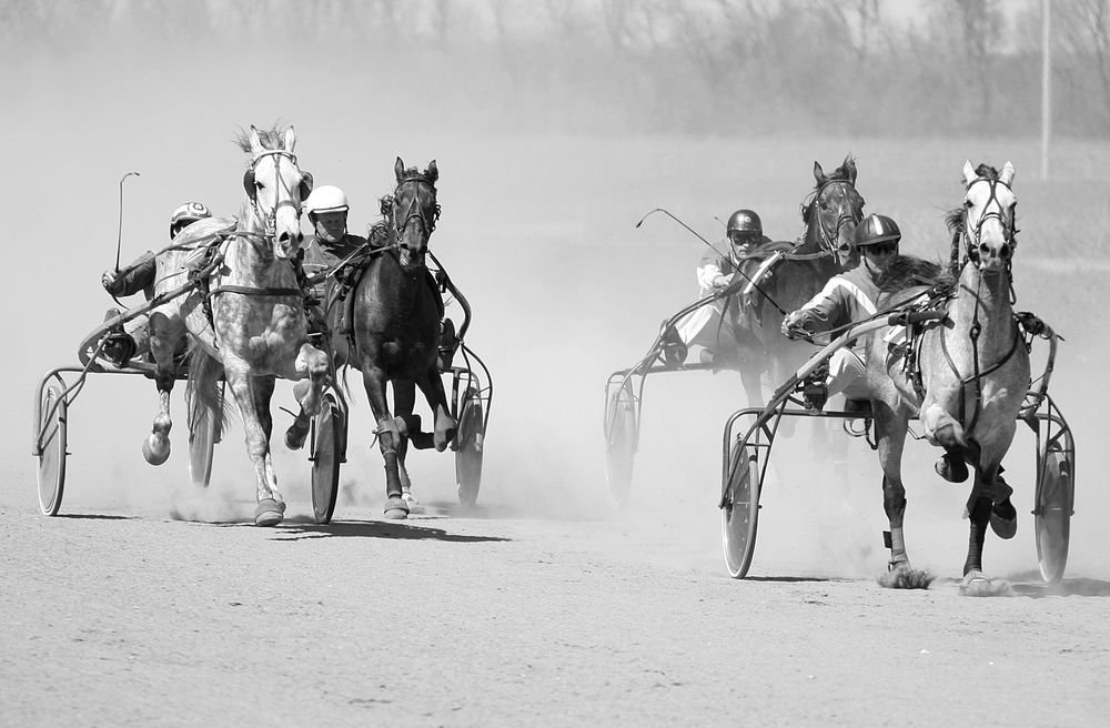 Photograph by Евгения Емельянова