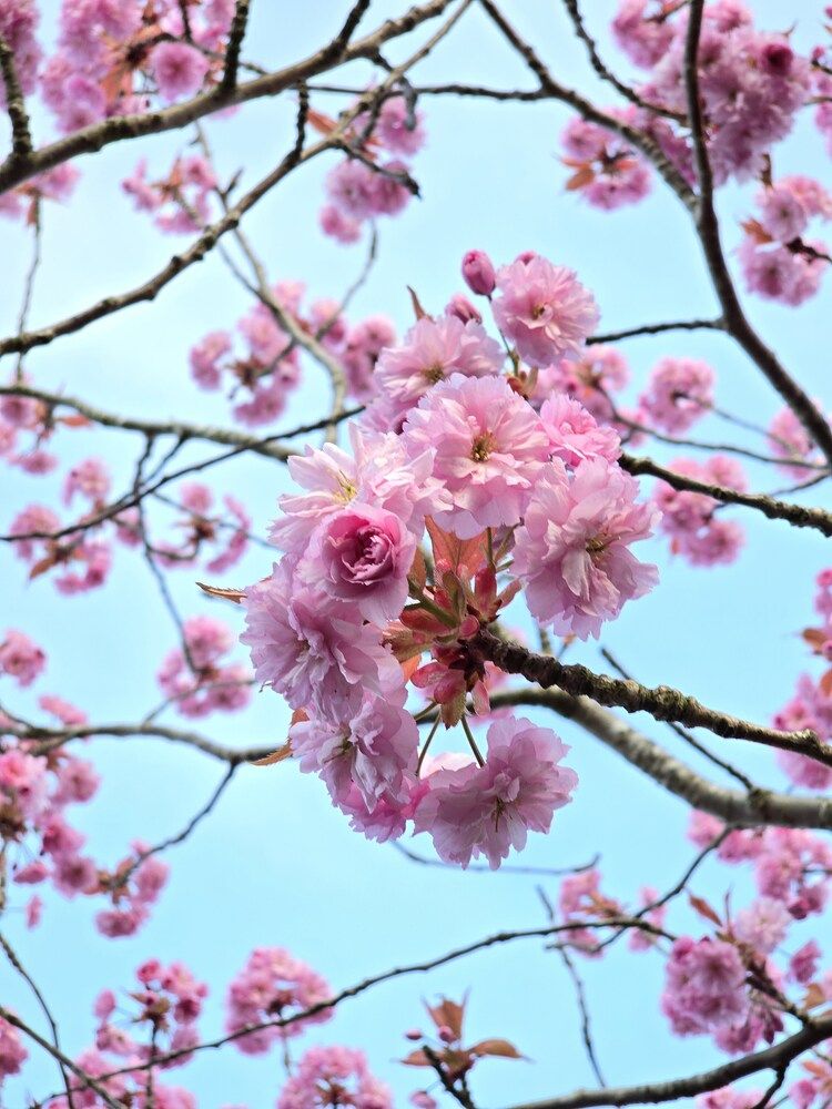 Photograph by Ekaterina Kozlova