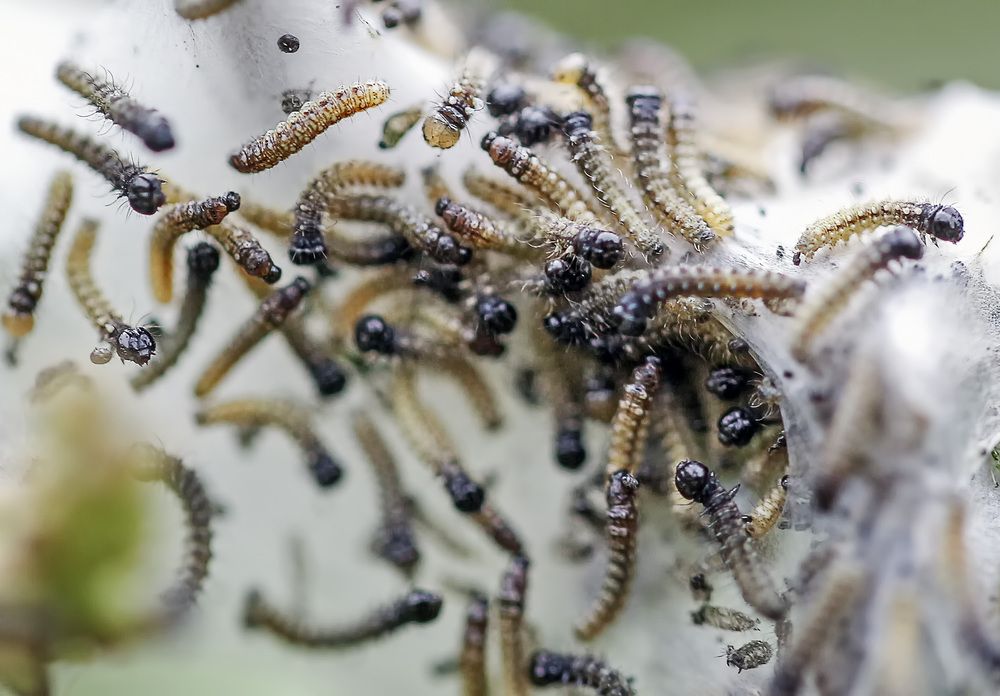 Фотография автора Александр