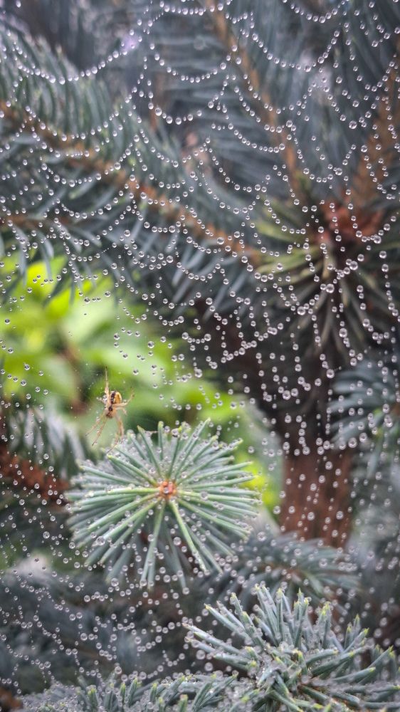 Photograph by Татьяна Кириллова