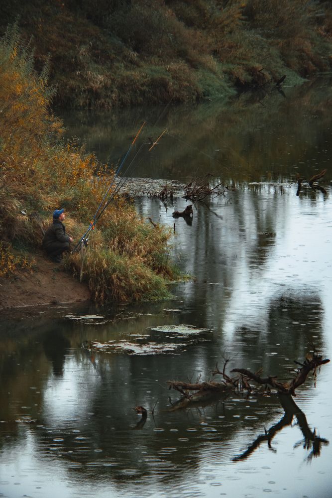 Photograph by Елена Владимировна