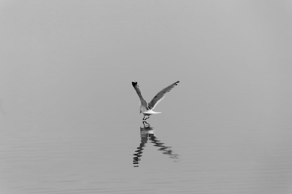Photograph by Катерина Гест