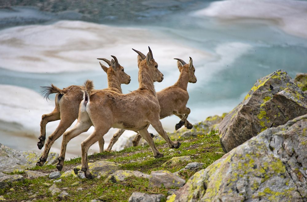 Photograph by Gurdina Lena