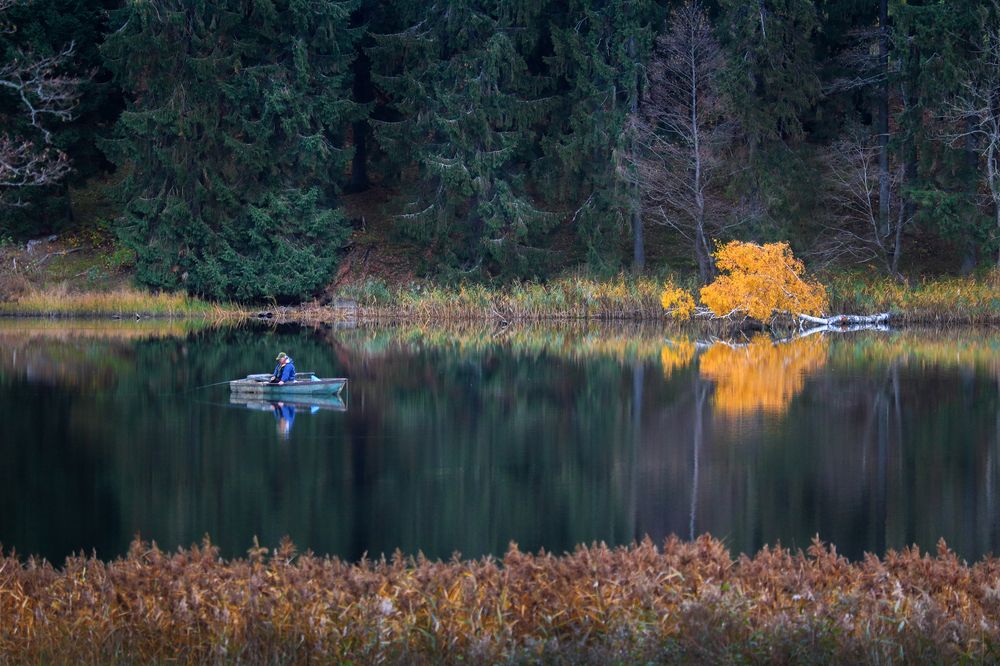 Фотография автора Inga Ivanova