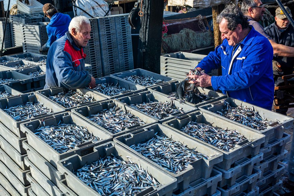 Photograph by Nikolai Barchan