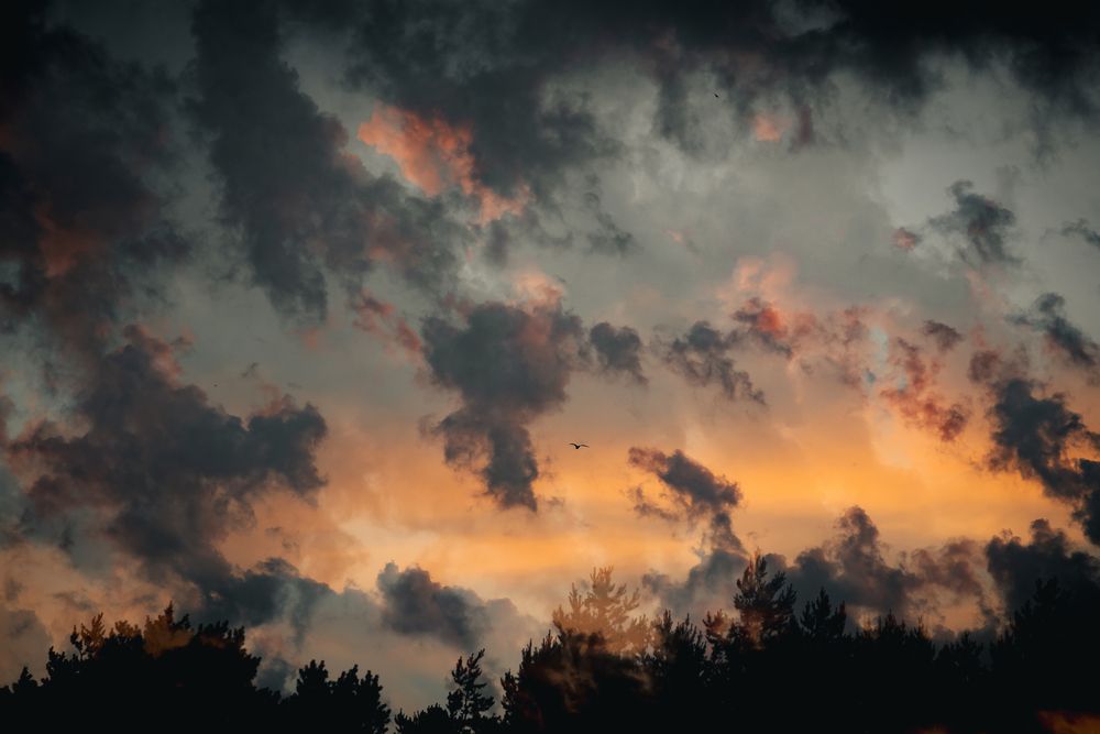 Photograph by Елена Владимировна