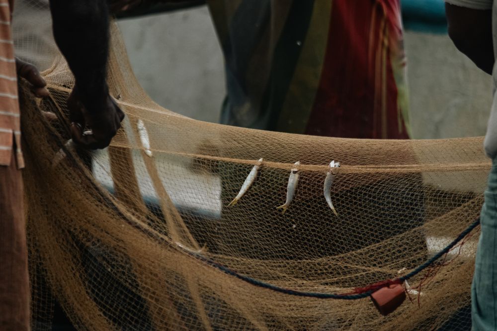 Photograph by Evgeniia Zorina