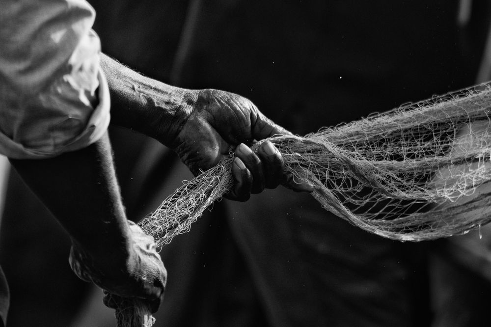 Photograph by Evgeniia Zorina