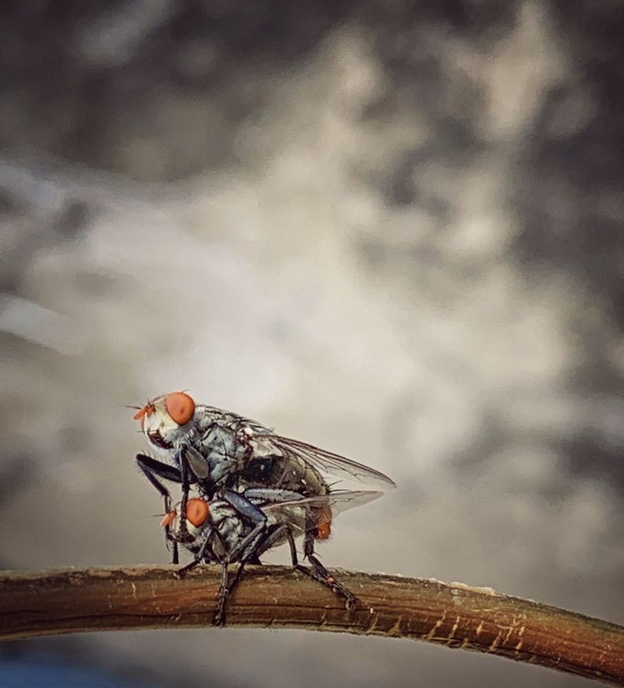 Фотография автора Washiful Majid