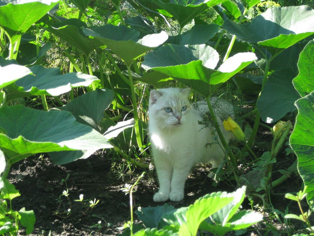 Photograph by Полина Мумряева