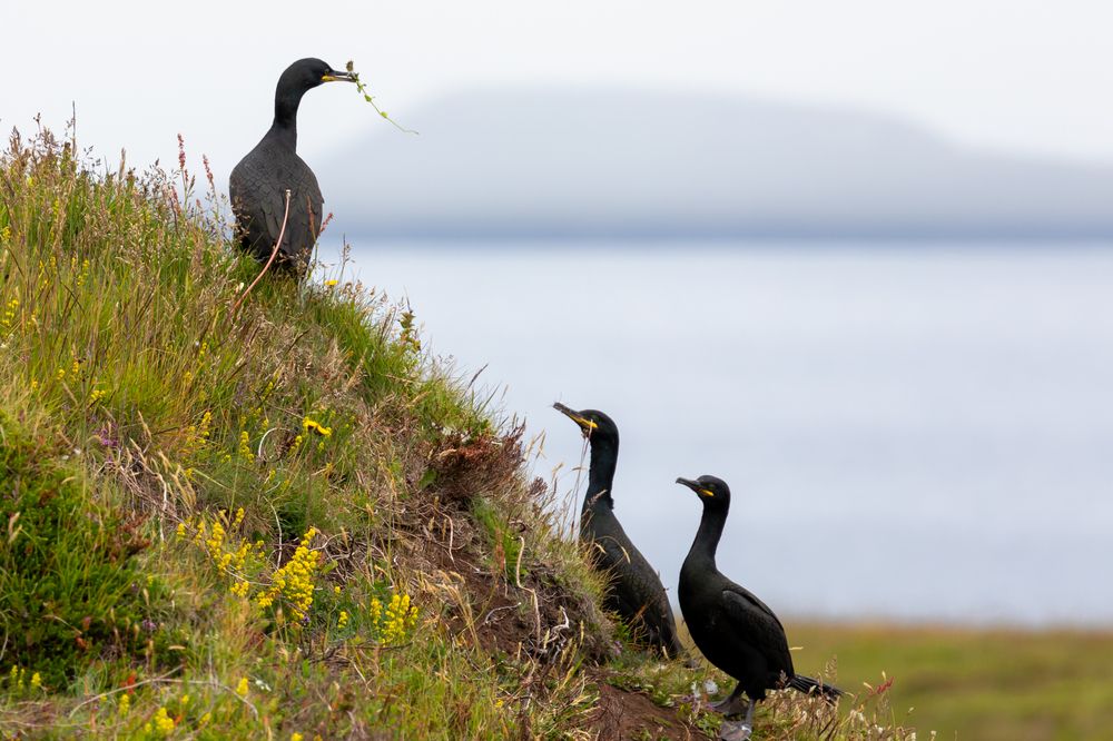 Photograph by Евгения Чех