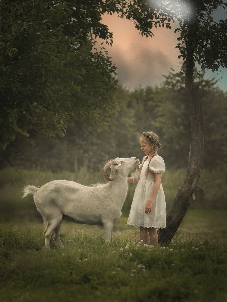Фотография автора Ольга Клипина