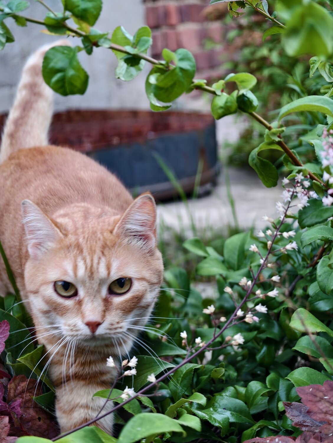 Photo #12374462