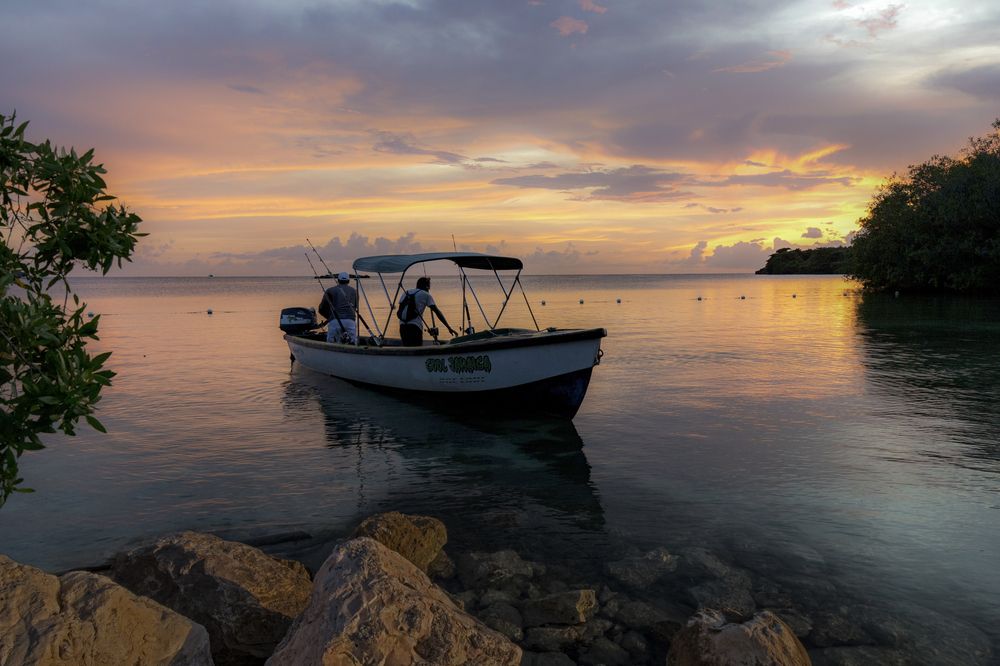 Photograph by Максим Мураков