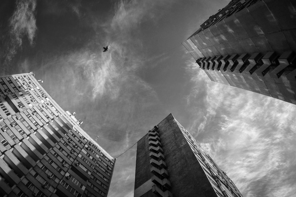 Photograph by Алексей Головин