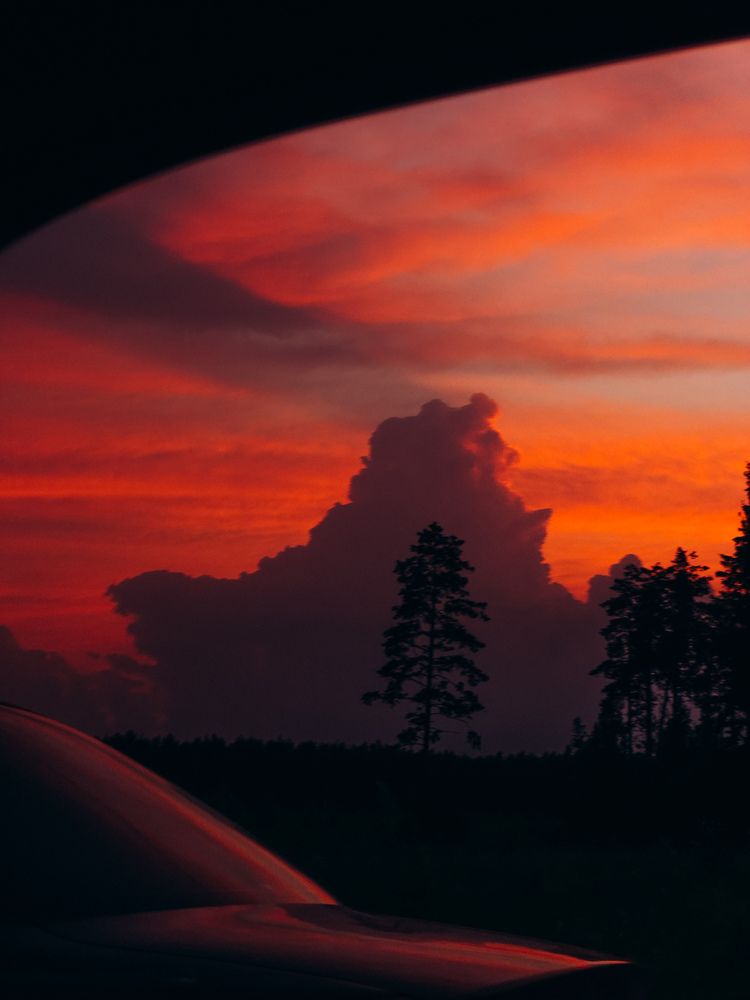 Photograph by Алиса Нежинская