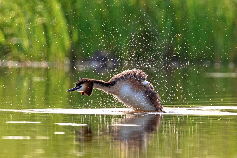 Photograph by Константин Тучин