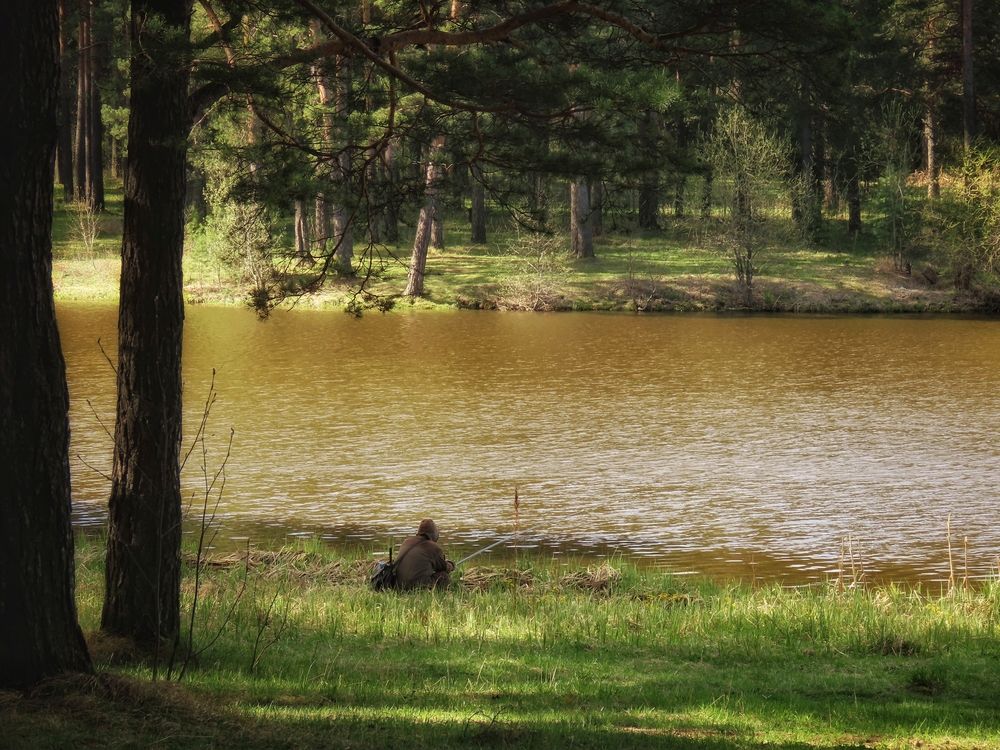 Утро на Валегином Бору