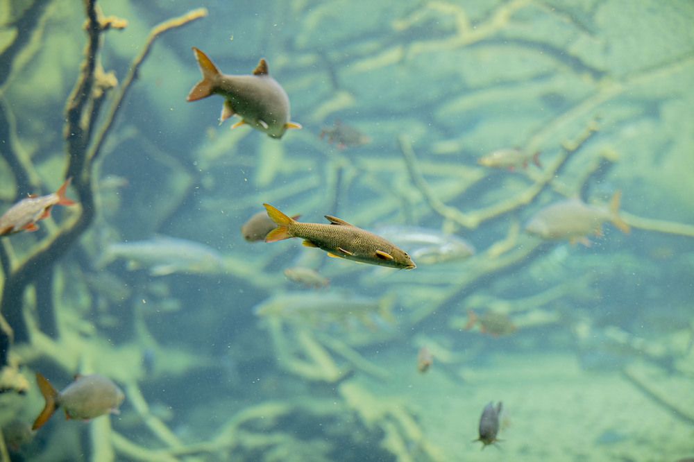 Photograph by Strisovsky Stanislav