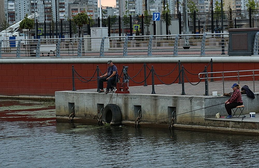 Фотография автора АЛЕКСАНДР ЦЫГЕЛЬНЮК