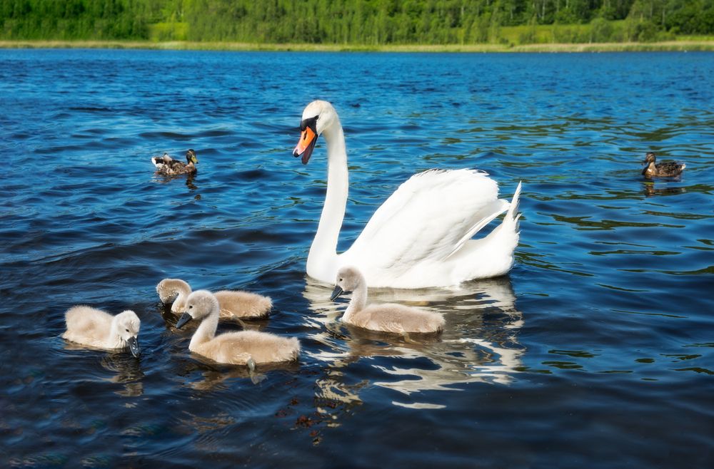 Photograph by Екатерина Ковалева