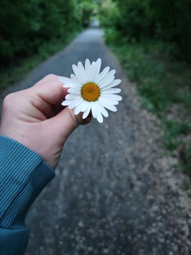 Прогулка в парке.