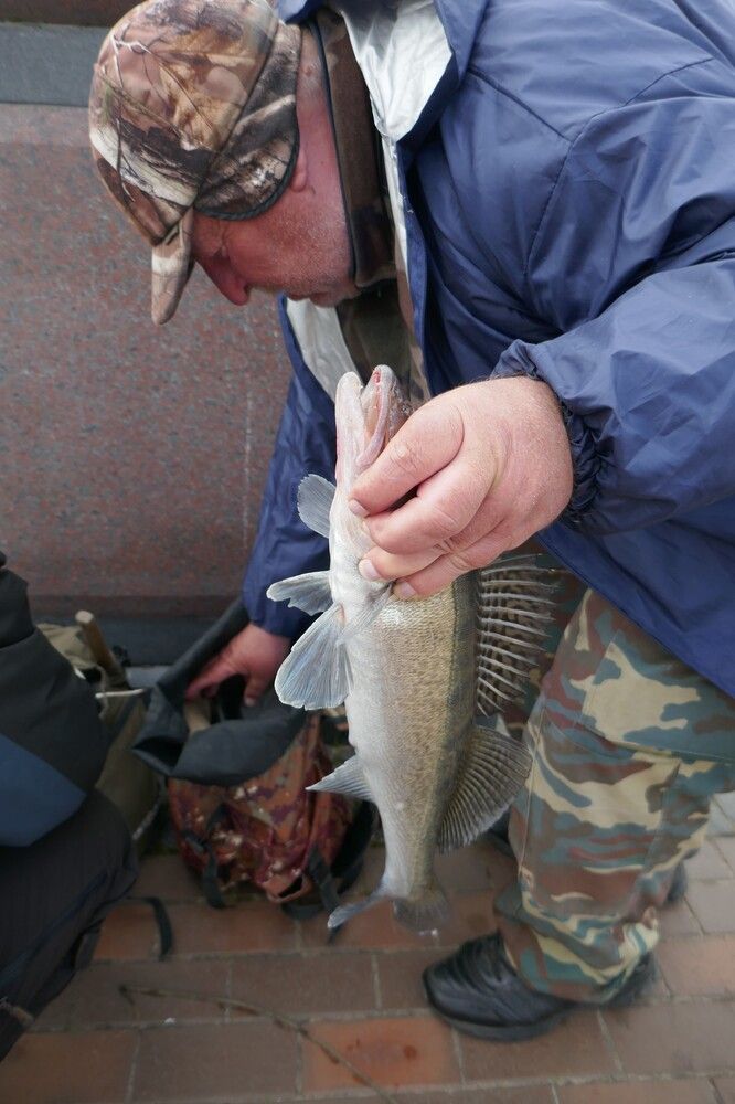 Photograph by Антон