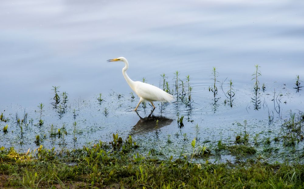 Photograph by Екатерина Ковалева