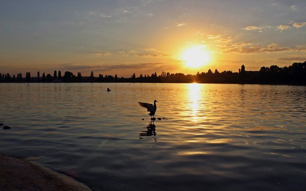 Photograph by Татьяна Пальчикова