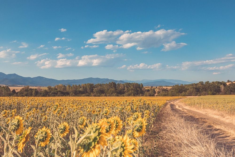 Photograph by Трайко Байко